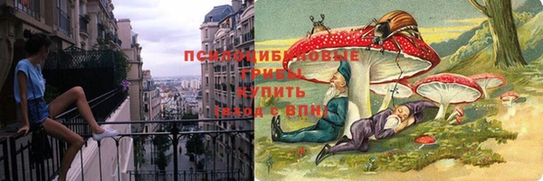 ГАЛЛЮЦИНОГЕННЫЕ ГРИБЫ Богородицк