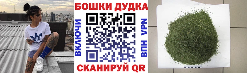 Конопля ГИДРОПОН  Будённовск 